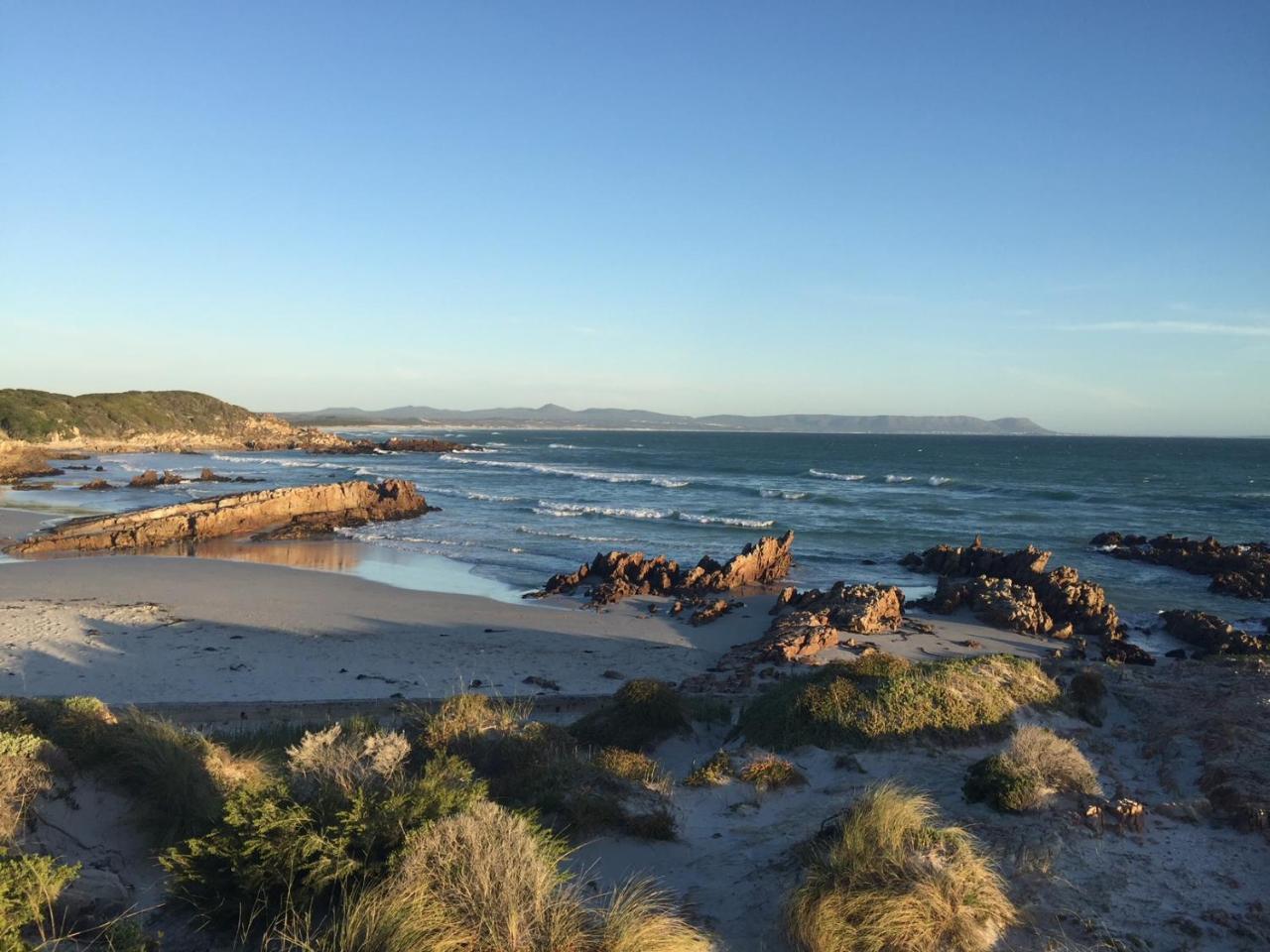 Protea & Pincushion Cottages Hermanus Exterior photo